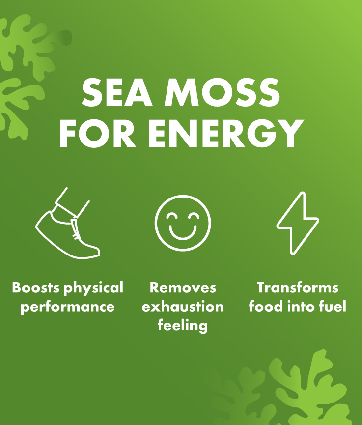 sea-moss-gummies-for-energy