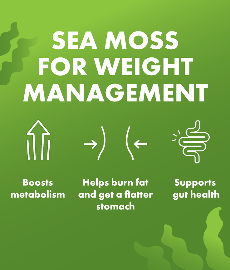 sea-moss-gummies-for-weight-loss